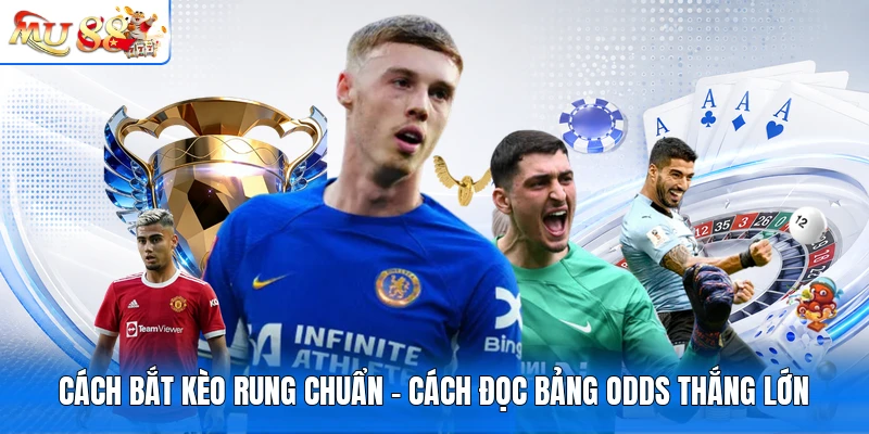 Cách Bắt Kèo Rung Chuẩn - Cách Đọc Bảng Odds Thắng Lớn