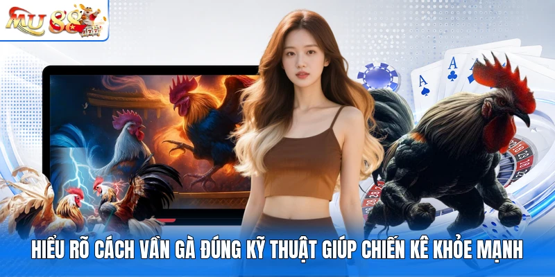 Hiểu rõ cách vần gà đúng kỹ thuật giúp chiến kê khỏe mạnh