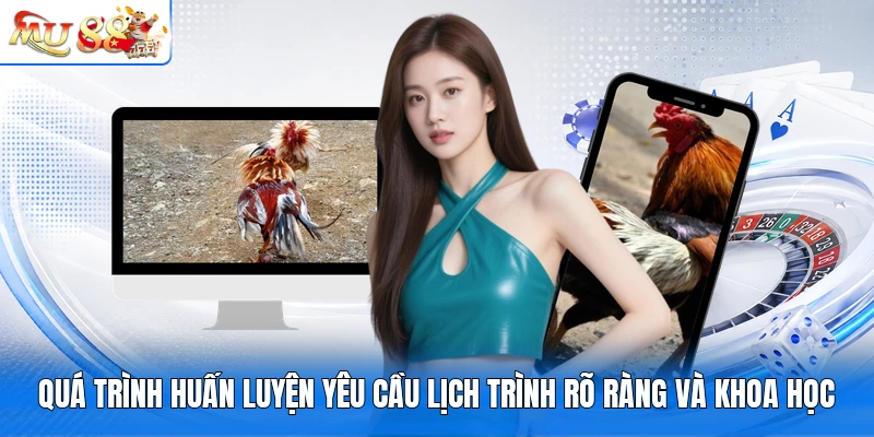 Quá trình huấn luyện yêu cầu lịch trình rõ ràng và khoa học