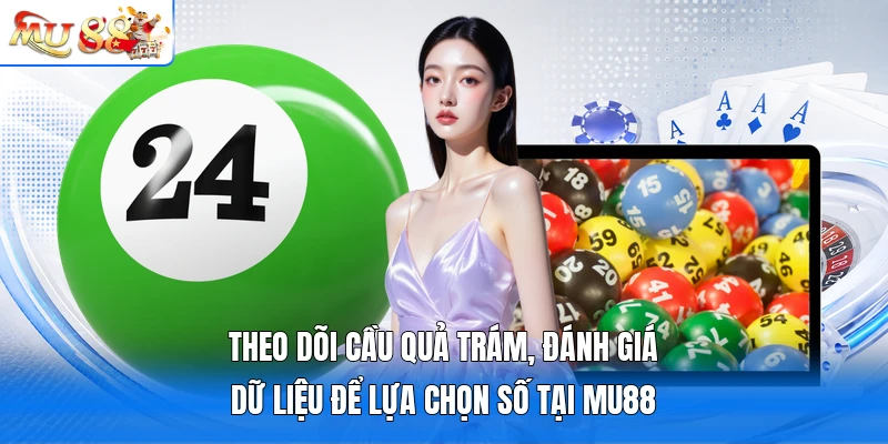 Theo dõi cầu quả trám, đánh giá dữ liệu để lựa chọn số tại MU88