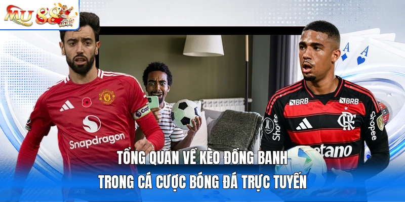 Tổng quan về kèo đồng banh trong cá cược bóng đá trực tuyến